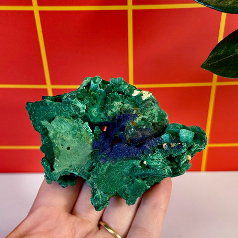 Azurite on velvet malachite crystal, deep blue and green hues, held in a hand.