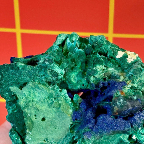 Azurite on velvet malachite specimen with vibrant blue and green minerals.