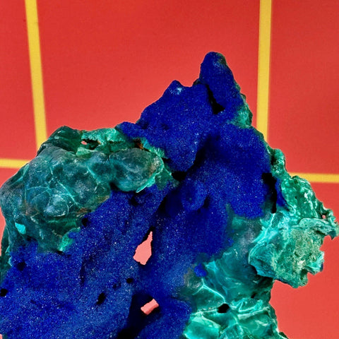 Vibrant blue azurite crystals on velvet malachite, against a red background with yellow lines.