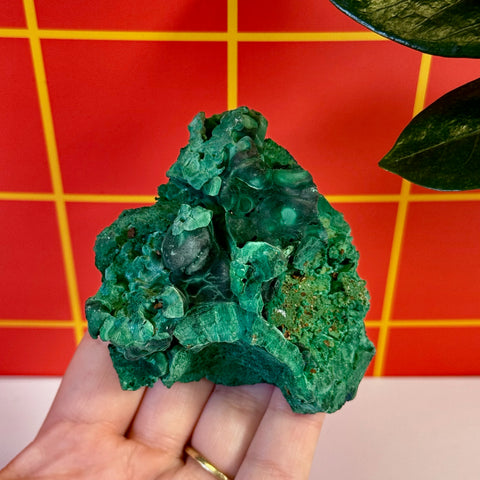 Azurite on velvet malachite specimen in vibrant green, held against a red grid background.