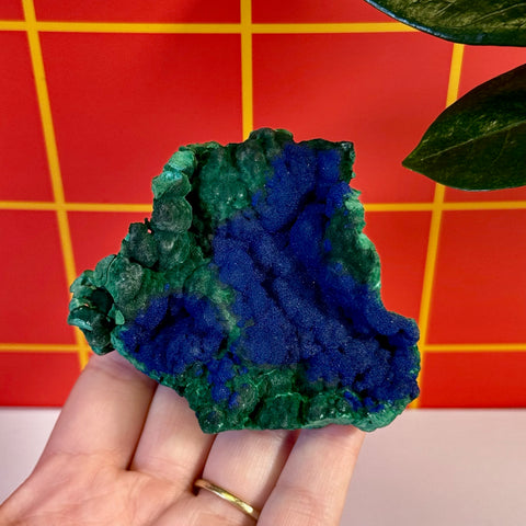 Azurite on velvet malachite mineral specimen, featuring vibrant blue azurite contrasting with deep green malachite.