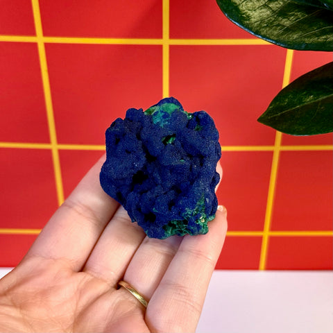 Azurite on velvet malachite mineral held in hand, showcasing deep blue and green hues.