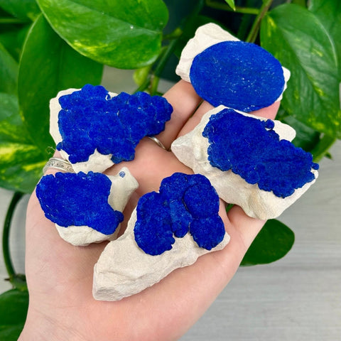 Azurite Sun on Kaolinite Clay 111 6 - Kenna's Crystals from TikTok