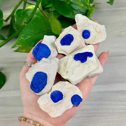 Azurite Sun on Kaolinite Clay 55 1 - Kenna's Crystals from TikTok