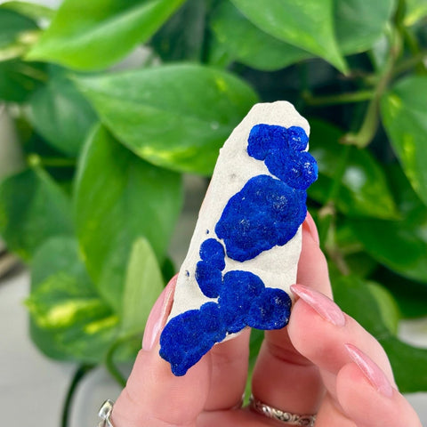 Azurite Sun on Kaolinite Clay 66 2 - Kenna's Crystals from TikTok