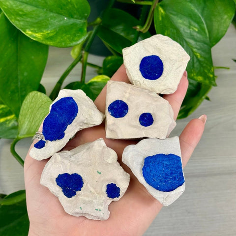 Azurite Sun on Kaolinite Clay 77 3 - Kenna's Crystals from TikTok