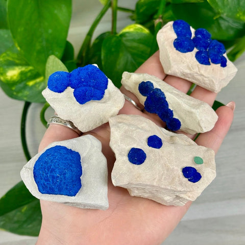 Azurite Sun on Kaolinite Clay 88 4 - Kenna's Crystals from TikTok