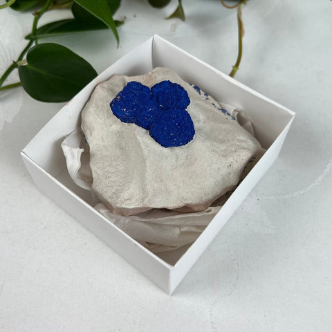 Azurite Sun Specimen 288 9 - Kenna's Crystals from TikTok