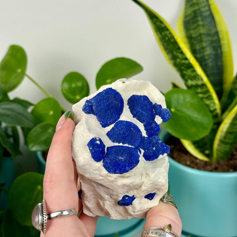 Azurite Sun Specimen 288 1 - Kenna's Crystals from TikTok