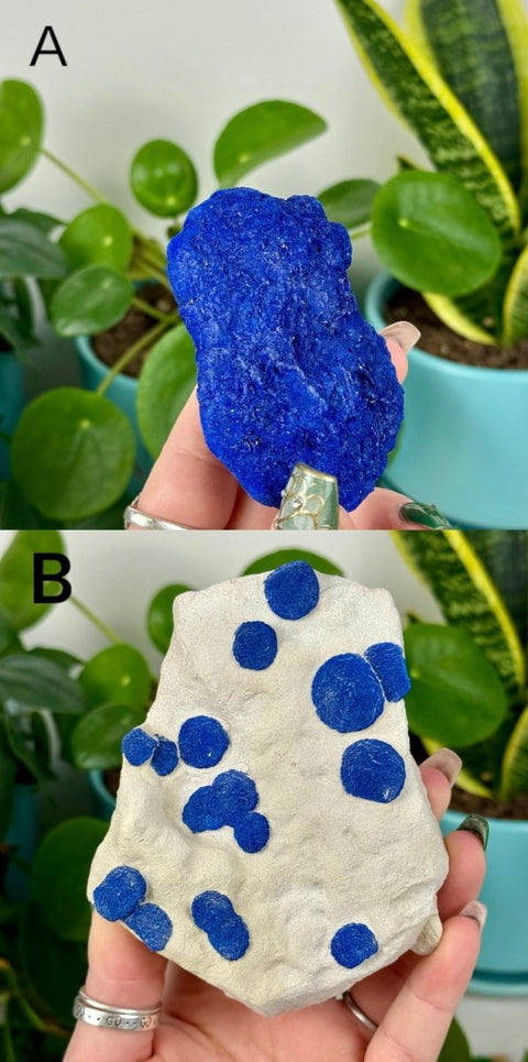 Azurite Sun Specimen 333 (A or B - FCFS) 17 - Kenna's Crystals from TikTok