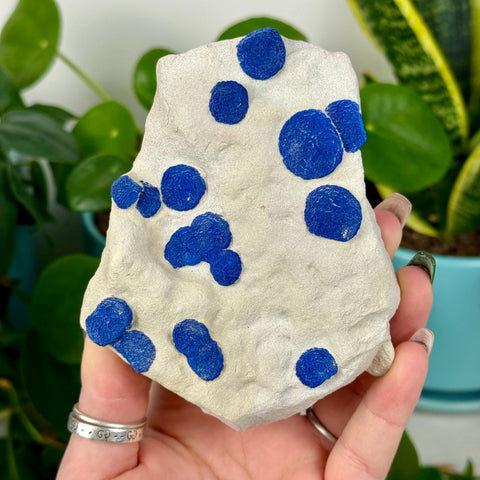 Azurite Sun Specimen 44 15 - Kenna's Crystals from TikTok