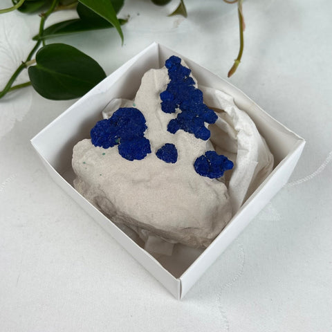 Azurite Sun Specimen 44 11 - Kenna's Crystals from TikTok