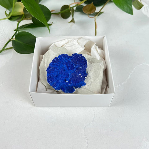 Azurite Sun Specimen 44 12 - Kenna's Crystals from TikTok