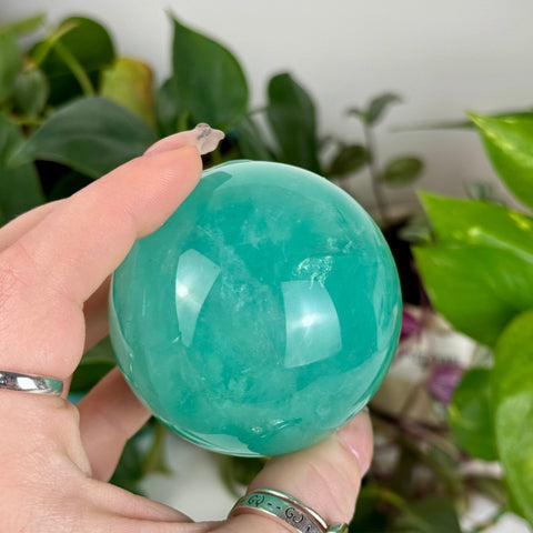 Baja Fluorite Sphere 77 5 - Kenna's Crystals from TikTok