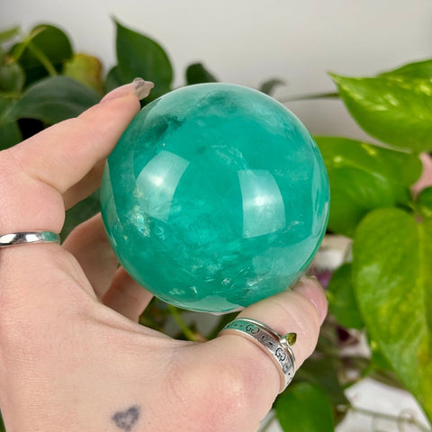 Baja Fluorite Sphere 99 7 - Kenna's Crystals from TikTok