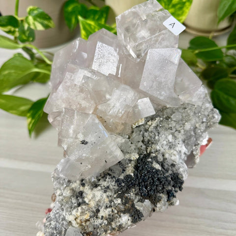 Balmat Calcite S 20 - Kenna's Crystals from TikTok