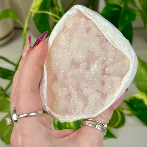 Barbara Pink Mangano Calcite Specimen (UV Reactive) 99 8 - Kenna's Crystals from TikTok