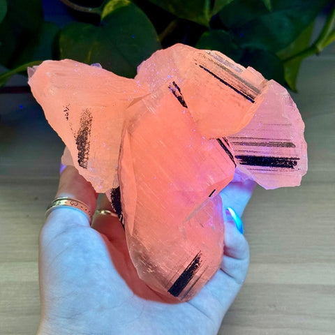 Benz Calcite with Calico Pyrite (UV Reactive) 805 26 - Kenna's Crystals from TikTok