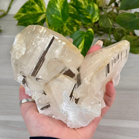 Benz Calcite with Calico Pyrite (UV Reactive) 895 4 - Kenna's Crystals from TikTok