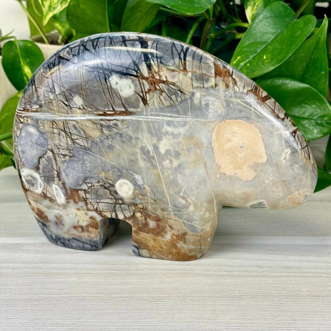 Berry The Bear 1 - Kenna's Crystals from TikTok