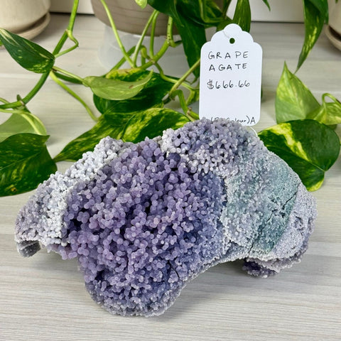 Bicolour Grape Agate A 1 - Kenna's Crystals from TikTok