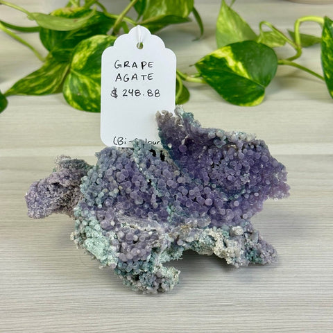 Bicolour Grape Agate E 5 - Kenna's Crystals from TikTok