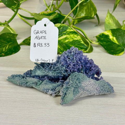 Bicolour Grape Agate F 6 - Kenna's Crystals from TikTok