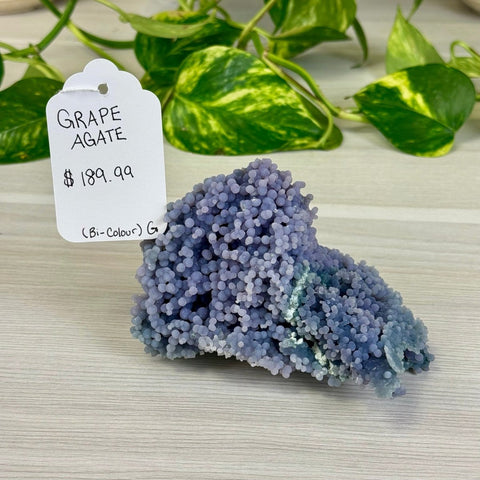 Bicolour Grape Agate G 7 - Kenna's Crystals from TikTok