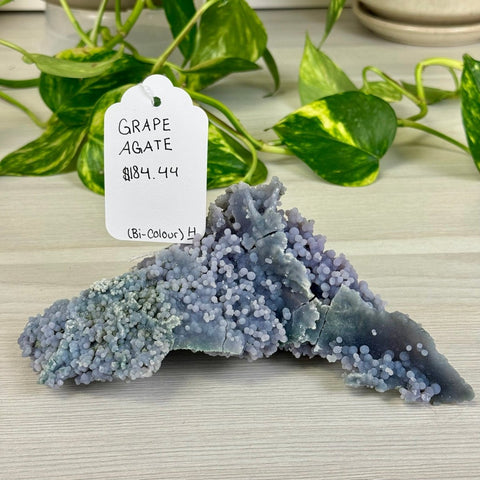 Bicolour Grape Agate H 8 - Kenna's Crystals from TikTok