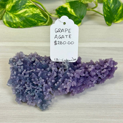 Bicolour Grape Agate M 13 - Kenna's Crystals from TikTok