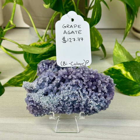 Bicolour Grape Agate P 16 - Kenna's Crystals from TikTok
