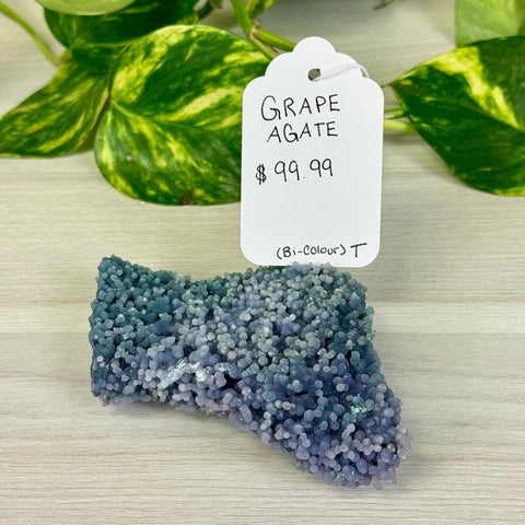 Bicolour Grape Agate T 20 - Kenna's Crystals from TikTok