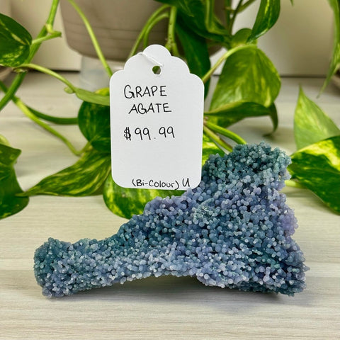 Bicolour Grape Agate U 21 - Kenna's Crystals from TikTok