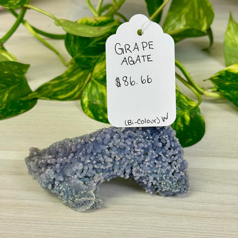 Bicolour Grape Agate W 23 - Kenna's Crystals from TikTok