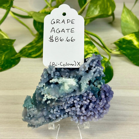 Bicolour Grape Agate X 24 - Kenna's Crystals from TikTok