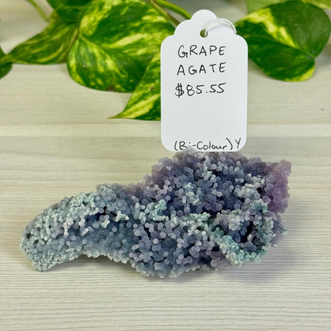 Bicolour Grape Agate Y 25 - Kenna's Crystals from TikTok