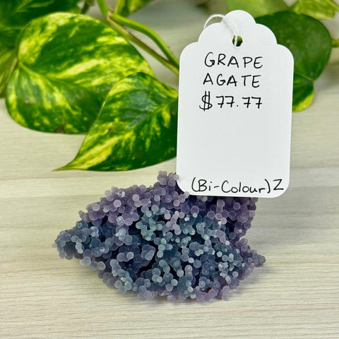 Bicolour Grape Agate Z 26 - Kenna's Crystals from TikTok