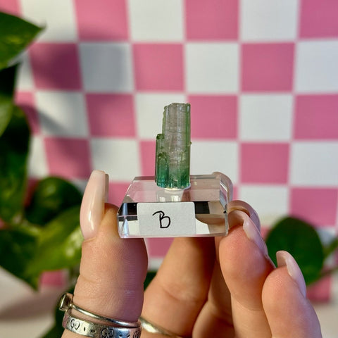 Bicolour Green Tourmaline B 2 - Kenna's Crystals from TikTok