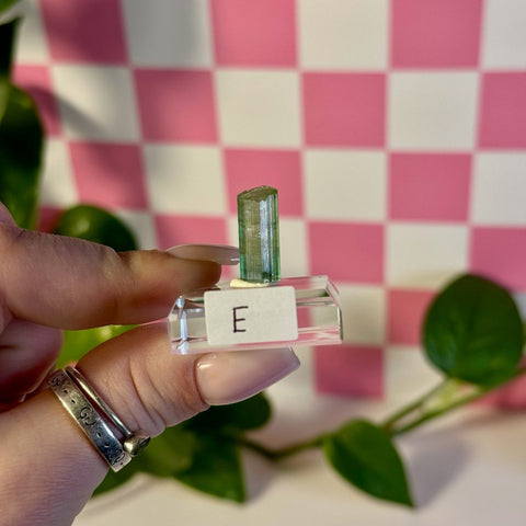 Bicolour Green Tourmaline E 5 - Kenna's Crystals from TikTok