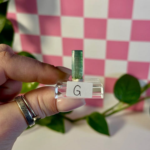 Bicolour Green Tourmaline G 7 - Kenna's Crystals from TikTok