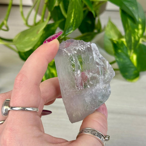 Bicoloured Kunzite D 4 - Kenna's Crystals from TikTok