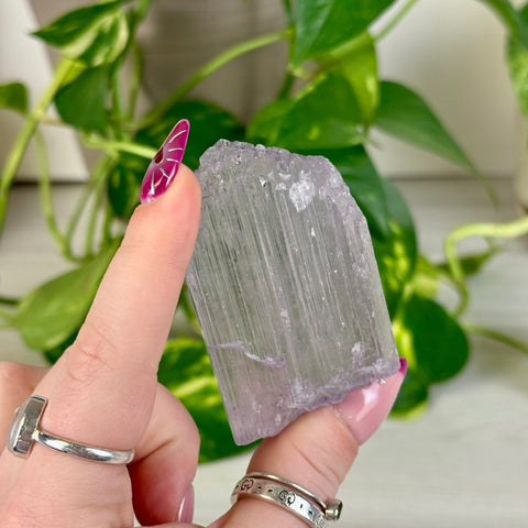 Bicoloured Kunzite E 5 - Kenna's Crystals from TikTok