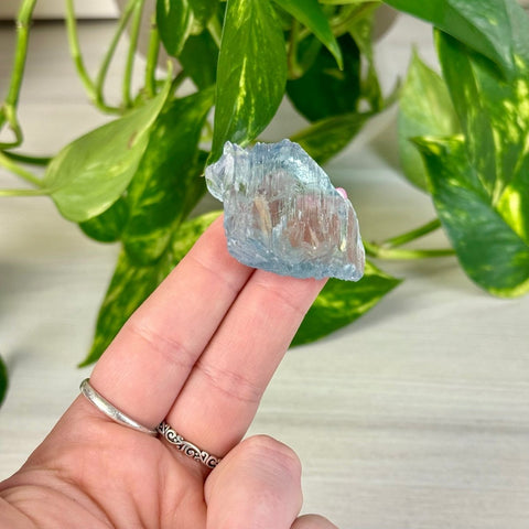 Bicoloured Kunzite G 7 - Kenna's Crystals from TikTok