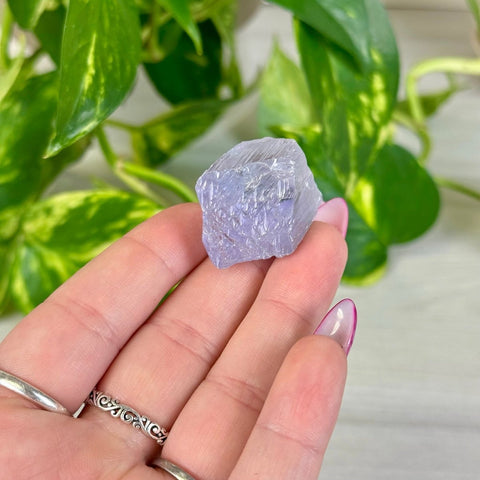 Bicoloured Kunzite H 8 - Kenna's Crystals from TikTok