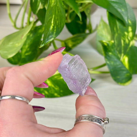 Bicoloured Kunzite I 9 - Kenna's Crystals from TikTok