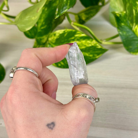 Bicoloured Kunzite J 10 - Kenna's Crystals from TikTok