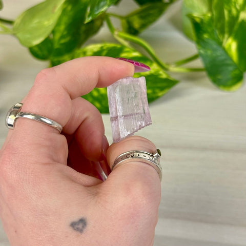 Bicoloured Kunzite K 11 - Kenna's Crystals from TikTok