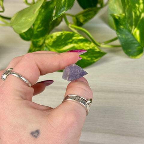 Bicoloured Kunzite K 12 - Kenna's Crystals from TikTok