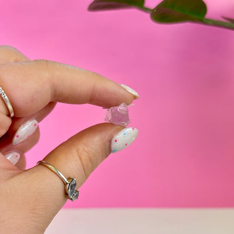 Bicoloured Kunzite