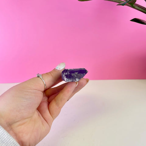 Bicoloured Kunzite